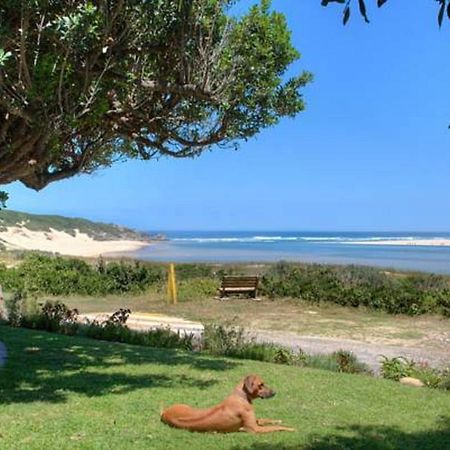 Milkwood Manor B & B 켄톤 온 씨 외부 사진